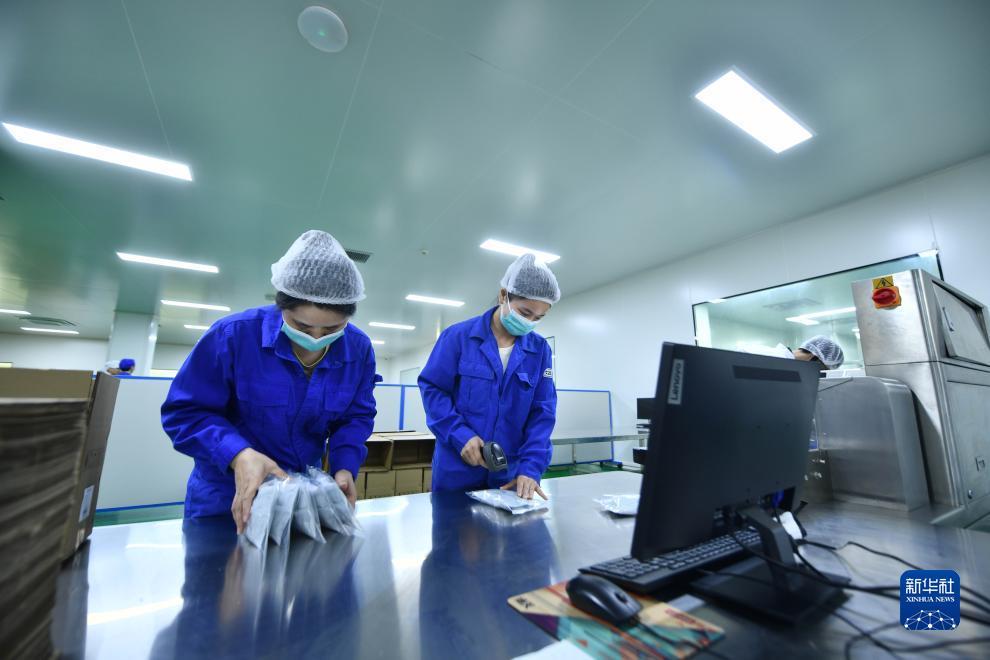 万乐城登录